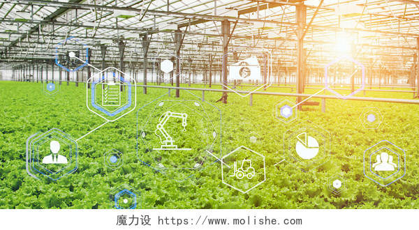 绿色农业发展蔬菜大棚经济科技科学技术人工智能自动化数据背景